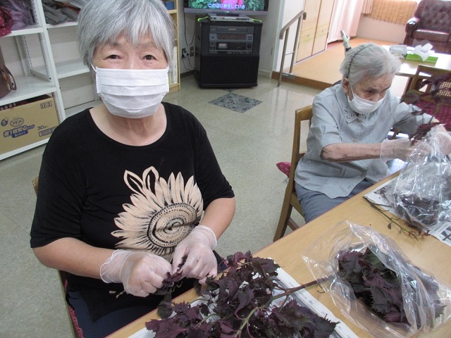 IMG_6450.JPG