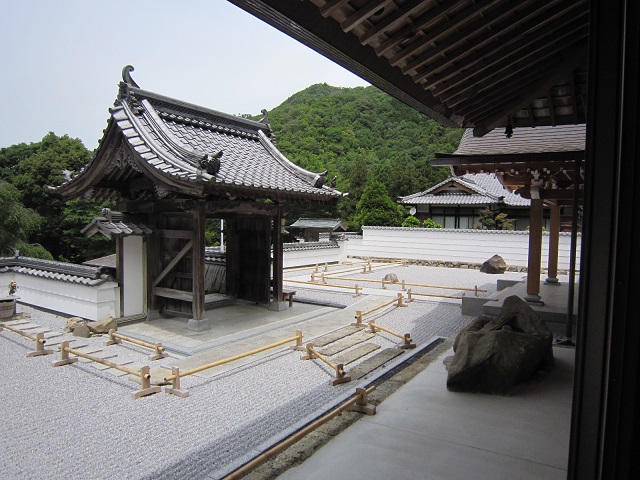 IMG_7909.JPG